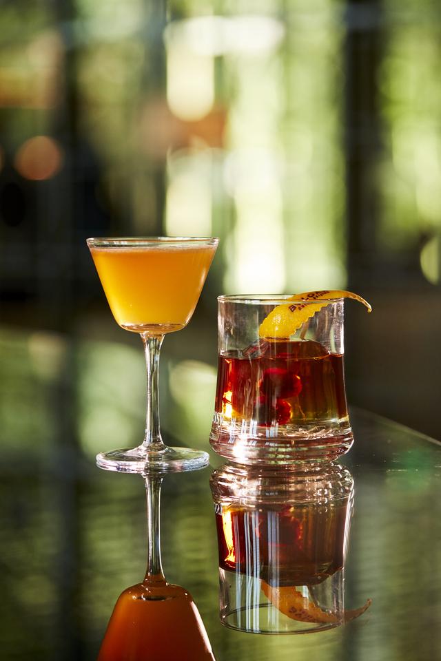 �����������Ƶ꽳�ĳ���2019������������������Ѳ�����