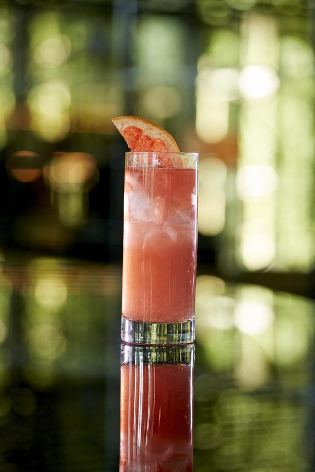 �����������Ƶ꽳�ĳ���2019������������������Ѳ�����