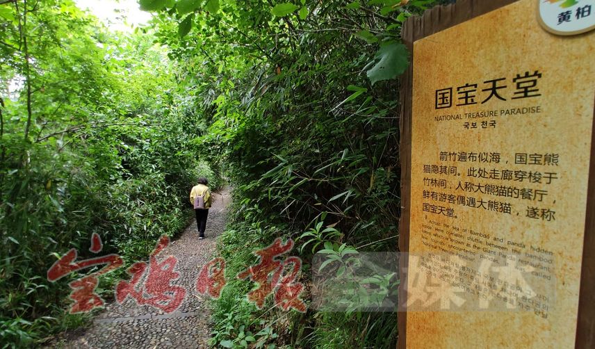 宝鸡市人口有多少人口_宝鸡市火锅有猪八戒