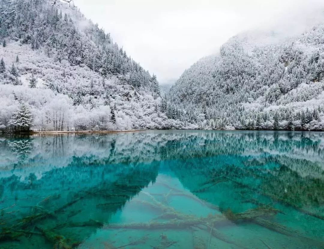 雪花飘飘荡荡,散落在树叶上,跌进湖面里,宛如人间仙境,简直美哭!