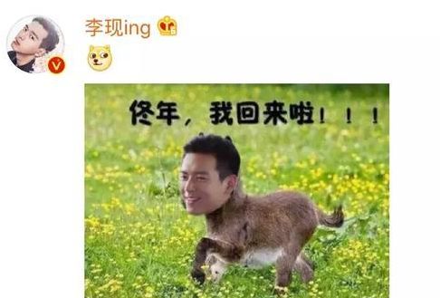 也是...很敢了吼?