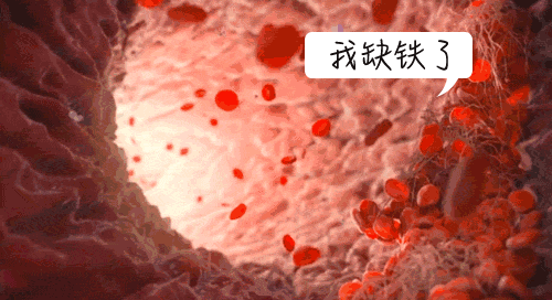 #米粒妈频道#原创缺乏这种营养元素，小心孩子智商低！