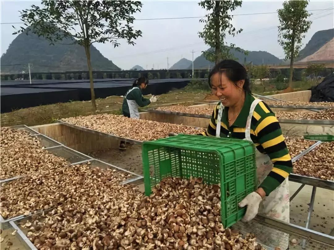 贵州安龙人口经济_贵州安龙县城老照片