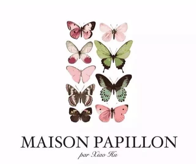 蝶舍·maison papillon——在上海弄堂里寻找内心深处的巴比龙