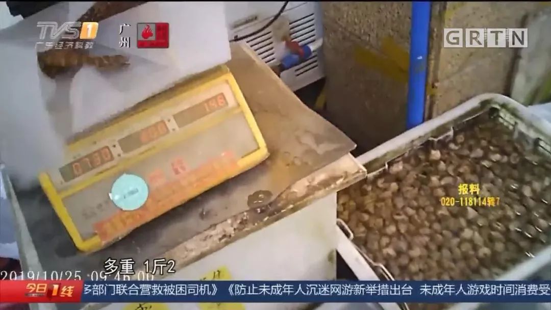 内幕惊人！慢镜头曝光广州海鲜市场骗秤招数，坑你没商量
