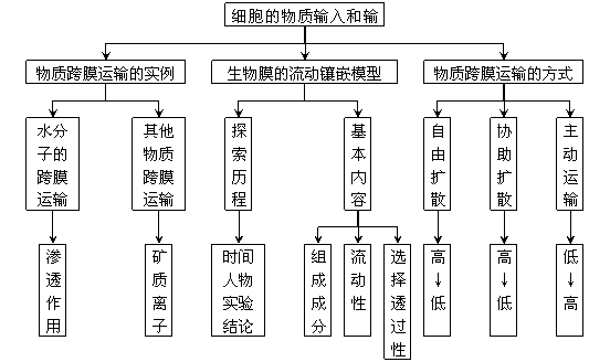 高中生物必修一三,四两章概念图_运输