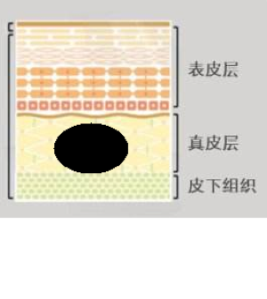 ed8d9dc2abe44df1a465a500467ecc14.png