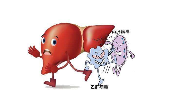 丙肝-最易被忽视的肝炎,却格外凶险!4大特点一定要警惕!