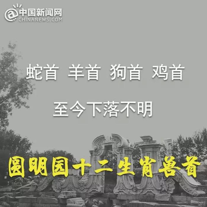 圆明园马首回家！十二兽首中有七尊回归