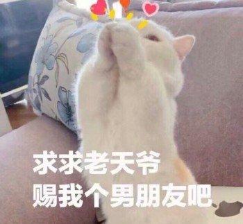 可可爱爱的表情包 46d77bd6665441e68032dc58068a9710.jpeg