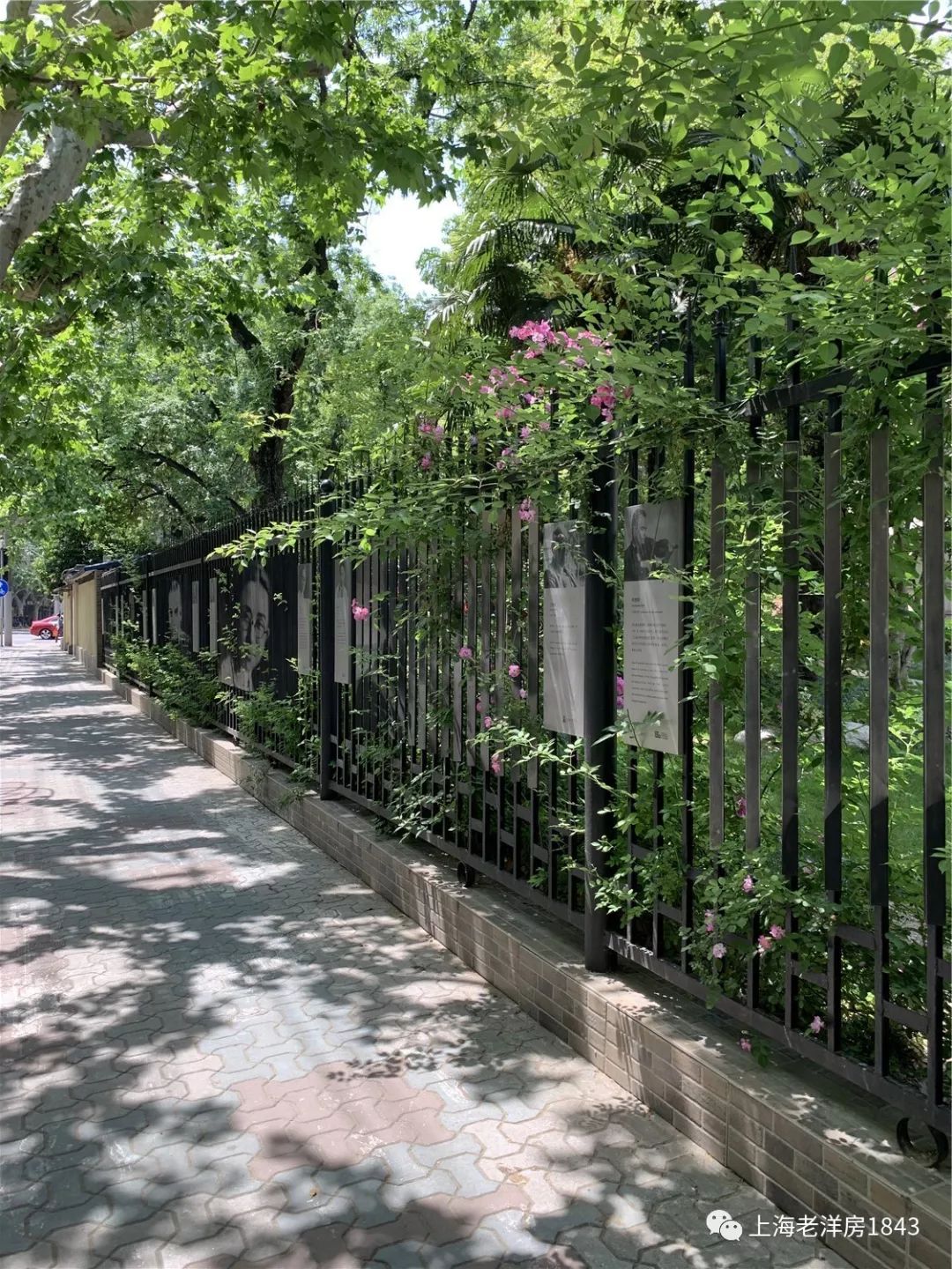 梧桐掩映下复兴中路背后的故事，花园公寓来了！_上海