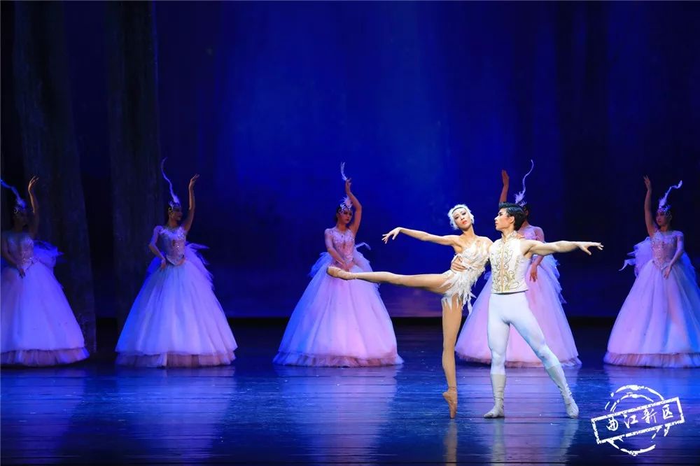 了不起的肩上芭蕾!来听专家如何点评杂技芭