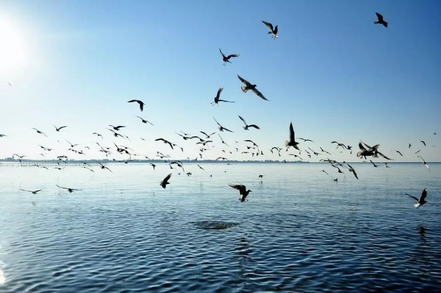 自由飞翔的天地 5e053e308abe49b4a31c415ac902bbc7.jpeg