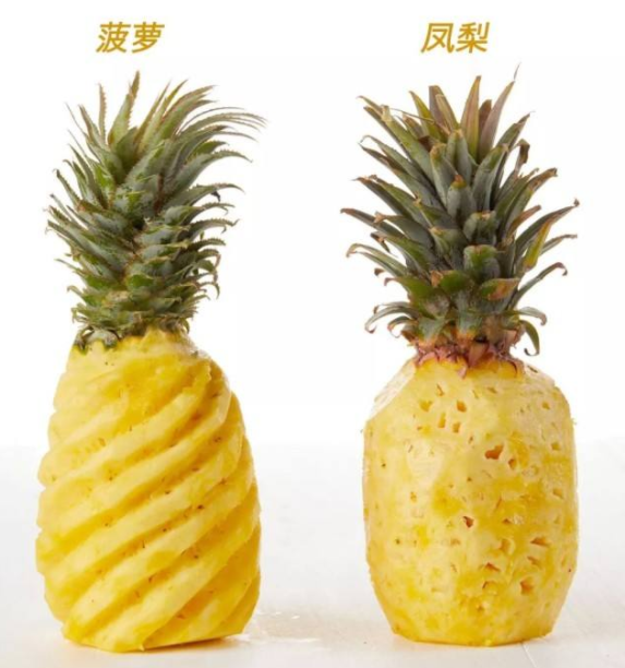 681e34ecef1e4f6da85f2be5d2cefd1f.png