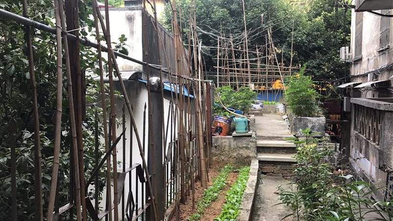 曝光台丨一大波不文明行为被曝光!有你认识的