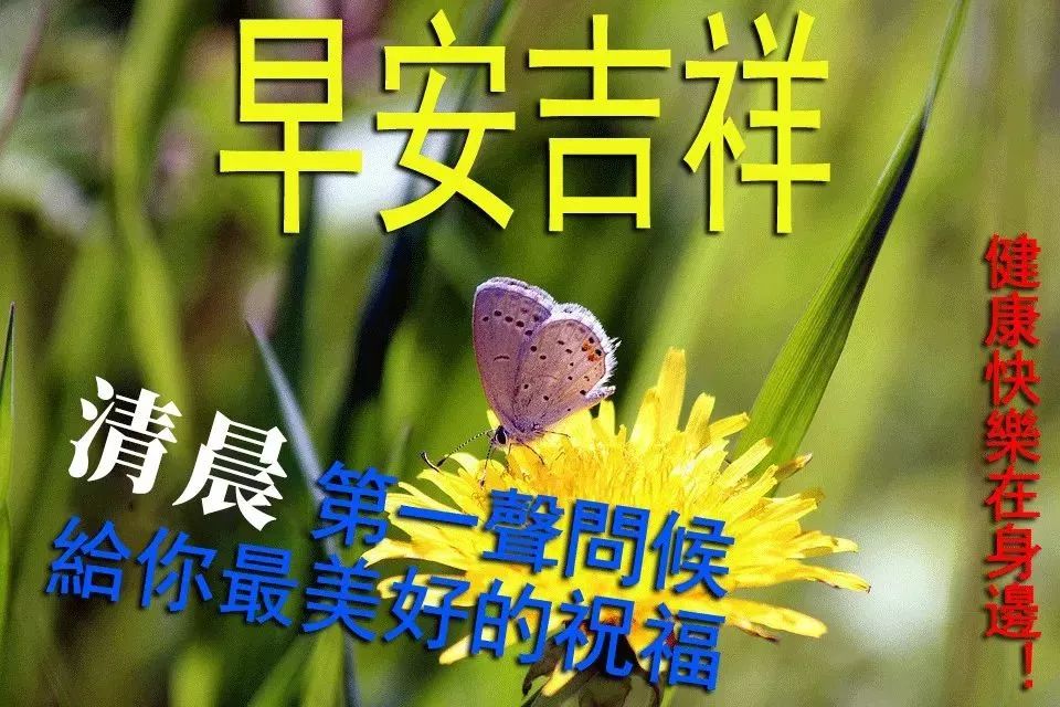 初冬早上好,一声问候,无限祝福,幸福快乐永远陪着你,早安