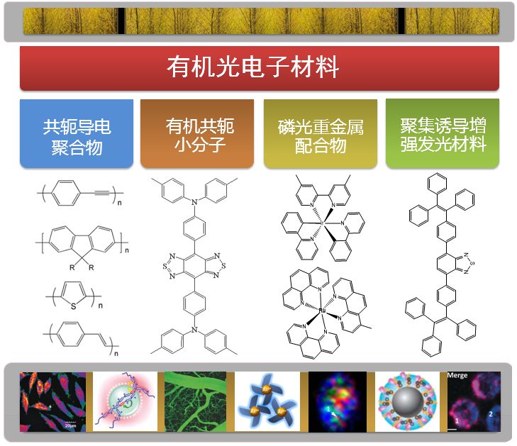 科技前沿丨有机光电子材料在生物医学中的应用_领域