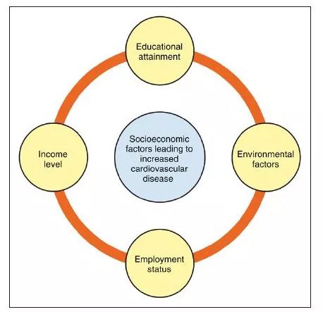 衰风险评估不可忽视的危险因素--社会经济学状
