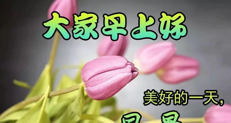 下雪天冷问候动画图片 下雪天冷早上好祝福语句简短动画