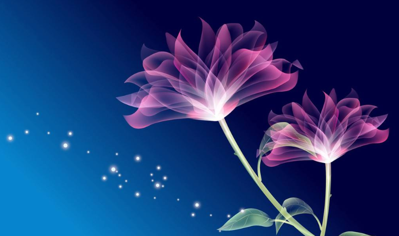 a2981da206ca4a888dcbf85372c68f28.png