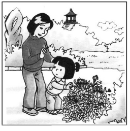 一年级《看图写话》专项练习题汇总,有范文有答案,不会写的看这里!