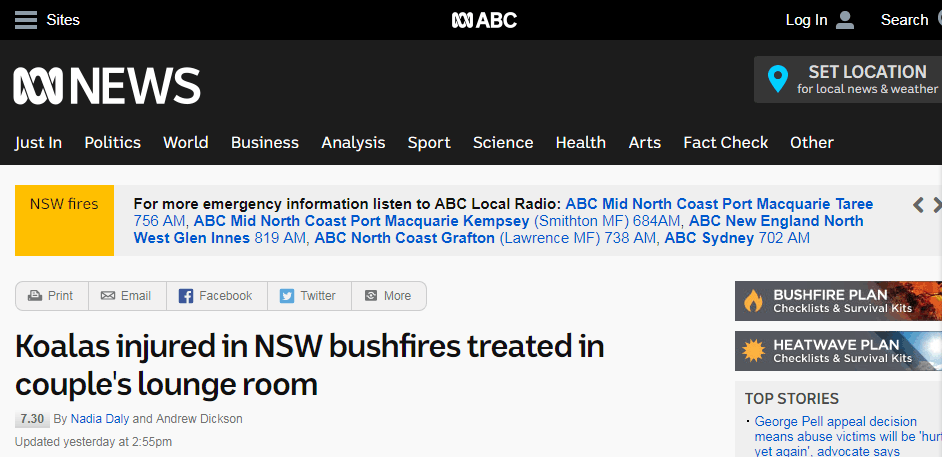 澳大利亚新南威尔士州山火肆虐，暖心夫妻救下24只烧伤考拉_克莉丝汀