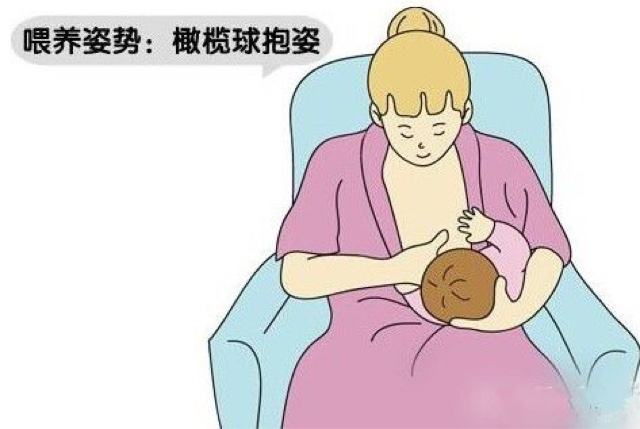 扶腰臀抱摇篮式(最传统的哺乳姿势)