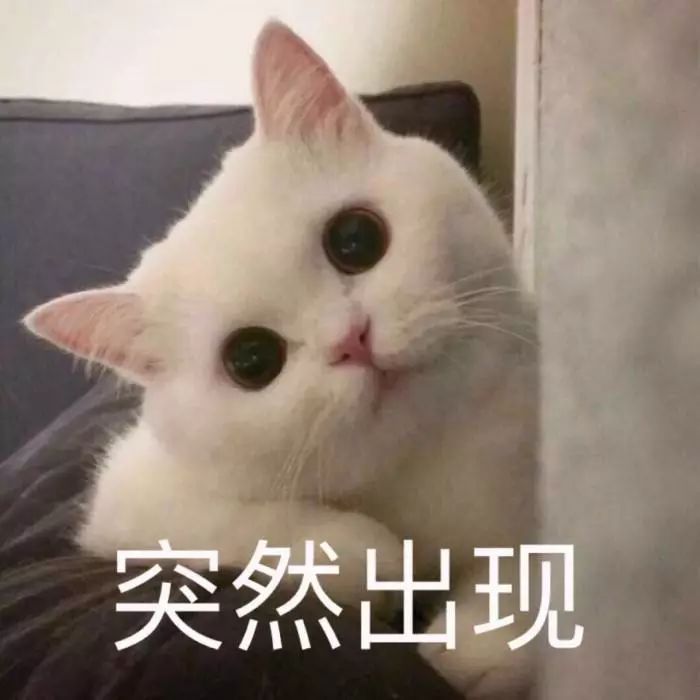 美榔村人口_2013大榔树村干旱(3)