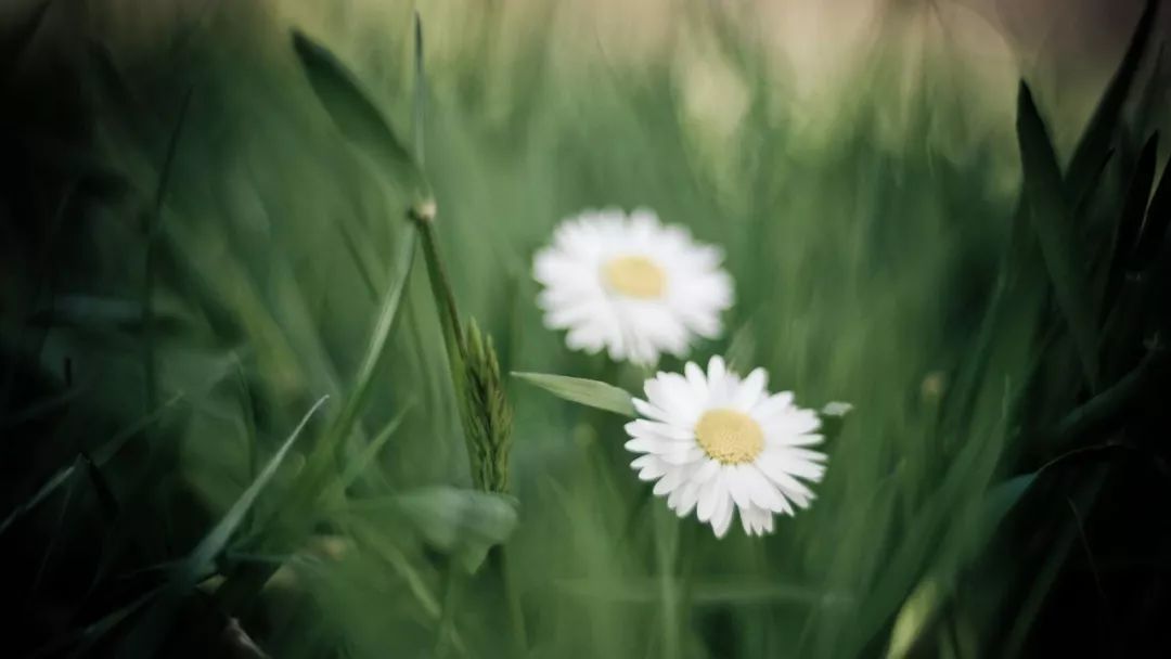 一首经典歌曲《无言的结局》,让你想起曾经的