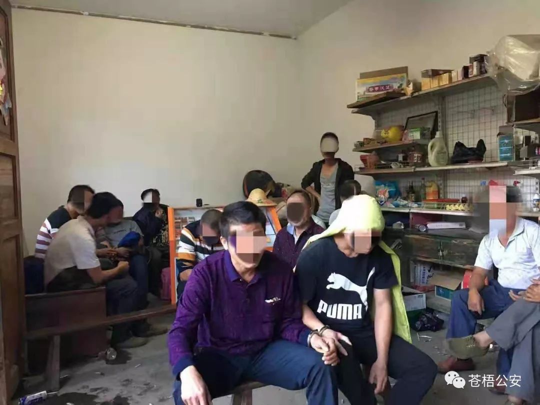 梧州,持续打击赌毒,抓获违法犯罪人员23人!