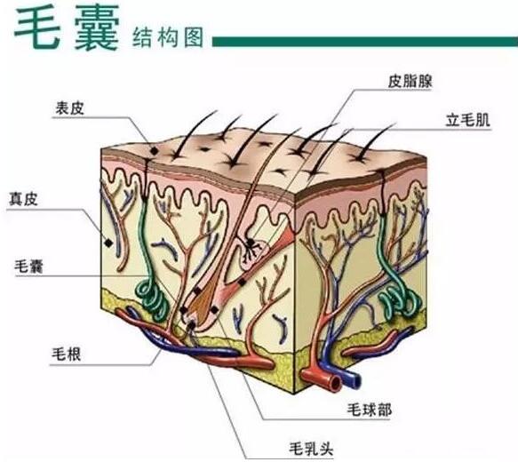 纹发疼不疼