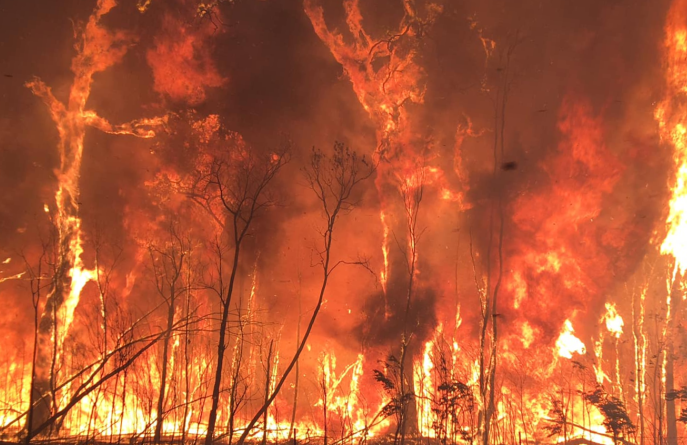 世界气象组织呼吁澳大利亚民众对火灾保持时刻警惕