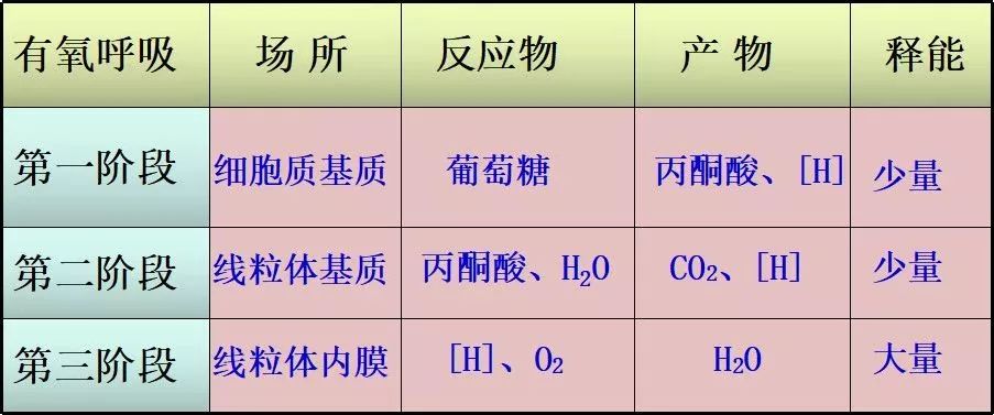 有氧呼吸过程中的能量变化 转化情况