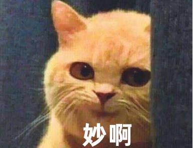 敖厂长起毒誓,是谁让《大圣归来》变成了笑话