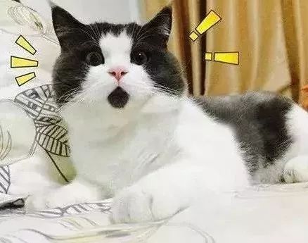e719a5a696fe48baa1d724d1704ab1f8.jpeg