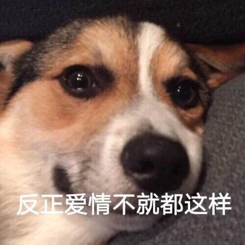 09900a5d8c9b47baabfb77b897784f8b.jpeg