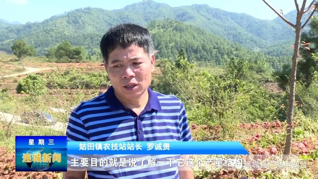 大众创业万众创新陈昌俊学以致用坚持传统种植做好富硒农业