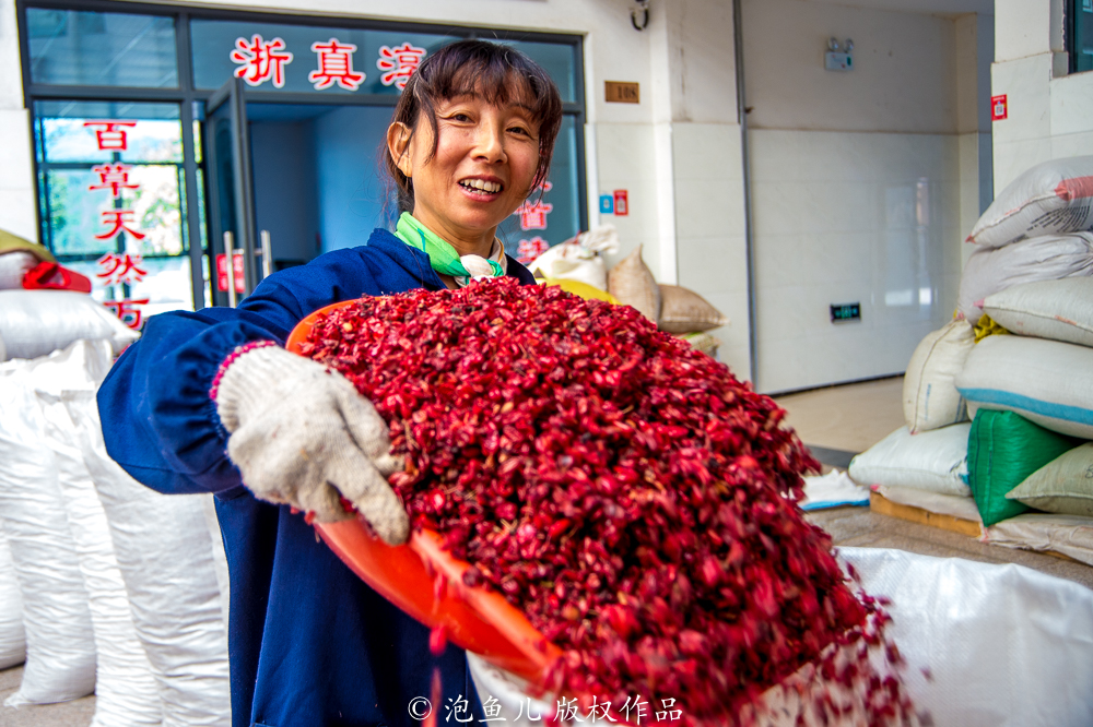 千岛湖唯一未被淹没的古镇,曾出现数百位名医,农民种药材脱贫 千岛湖唯一未被淹没的古镇,曾出现数百位名医,农民种药材脱贫