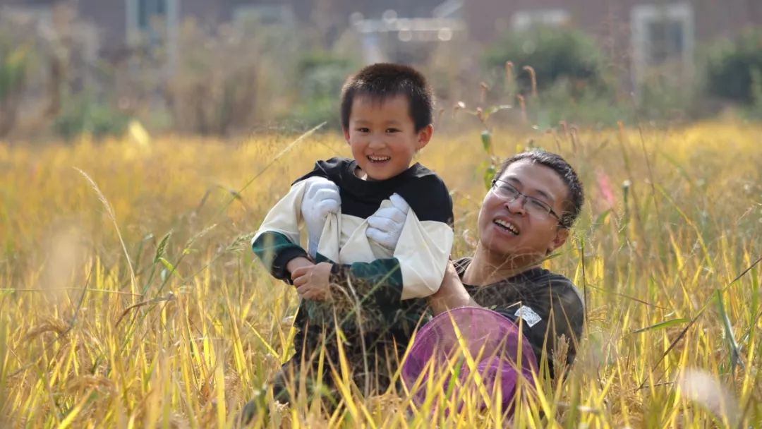 知盘中餐粒粒皆辛苦猜一成语_谁知盘中餐粒粒皆辛苦(3)