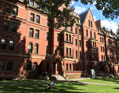 纽约理工大学 排名_大连理工大学排名