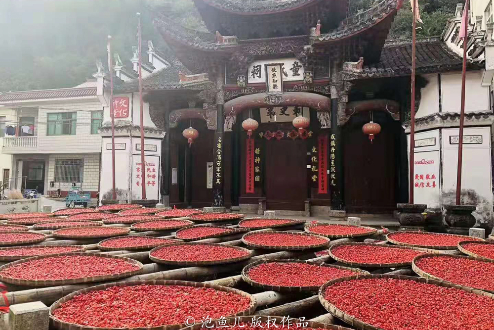 千岛湖唯一未被淹没的古镇,曾出现数百位名医,农民种药材脱贫 千岛湖唯一未被淹没的古镇,曾出现数百位名医,农民种药材脱贫