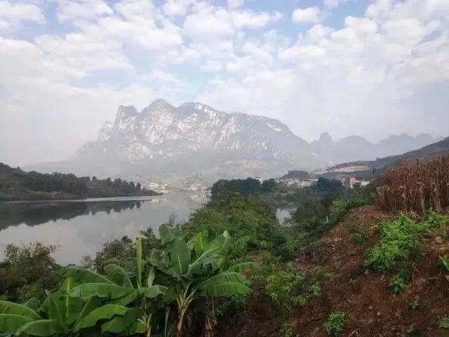 30e3e6c478644261bd5127612f06a863.jpeg