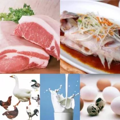 沙门氏菌食物中毒的主要食物 31f4bd3f98614f5e8c0933a9b70e44f1.jpeg
