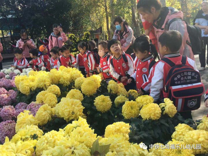 中铁七局福乐儿幼儿园社会实践活动——福幼娃娃赏菊记