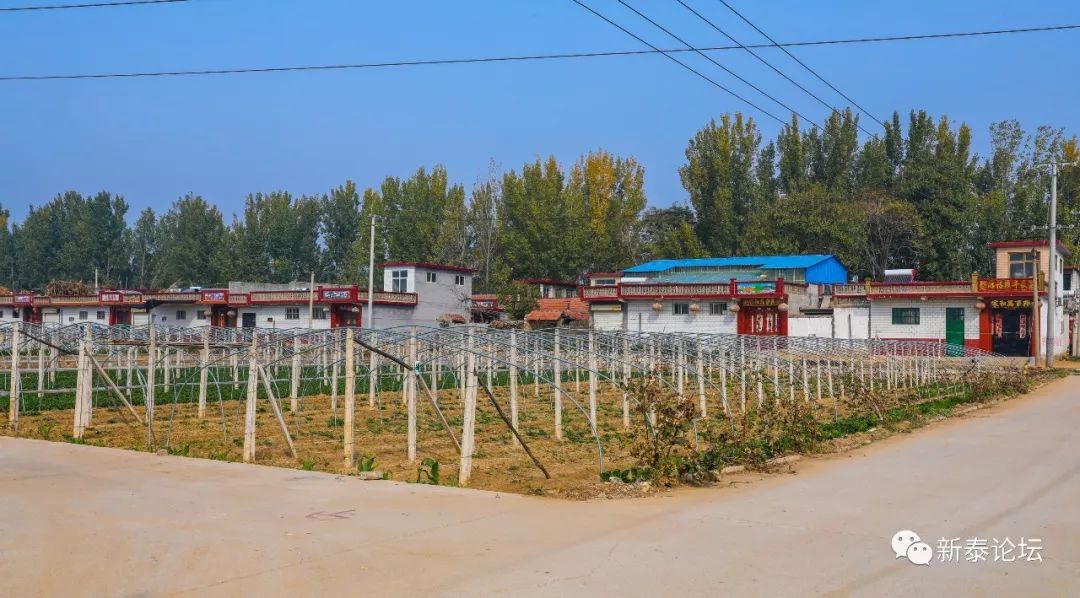 楼德镇赤坂村新泰市村落地名志