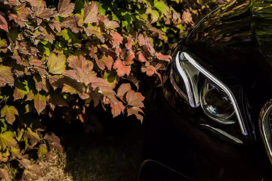 嗜驾丨玩爱之徒,试驾奔驰E级敞篷