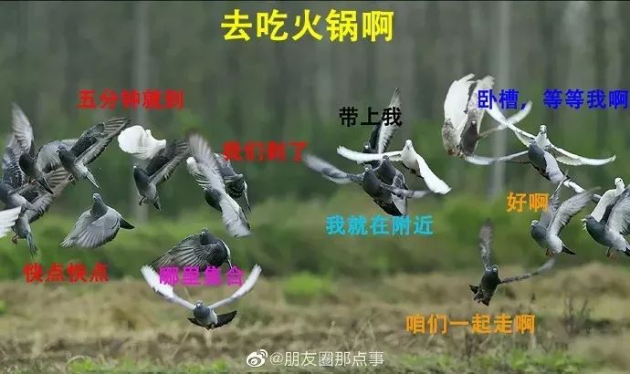 来说说,五块钱如何优雅地过三天?今日沉思丨爆笑囧图