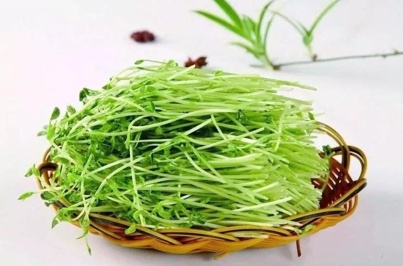 蔬菜吃法有讲究,怎么吃才是最好的?_芹菜