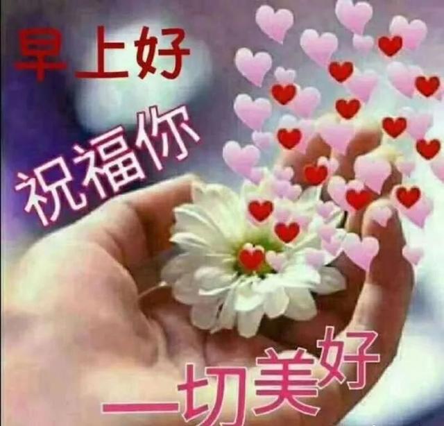 早晨安好:珍惜每一天,明天你会感谢今天拼命的自己,早晨好