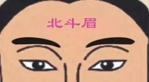 所谓的卧蚕眉,就是指眉毛长得清秀,而眉身弯曲,眉尾向上高扬,看起来